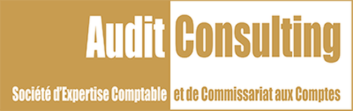 Audit Consulting