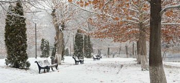 congés d'hiver expert-comptable à Hyères paysage froid neige