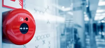 conseil sur les scpi visuel animé